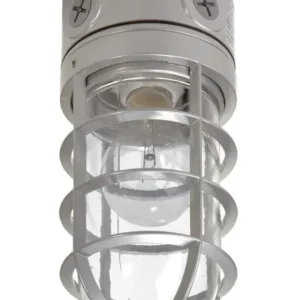 Halo VT100G Flush Mount Vapor Tight Outdoor Floodlight, 100 Watts Get Yours